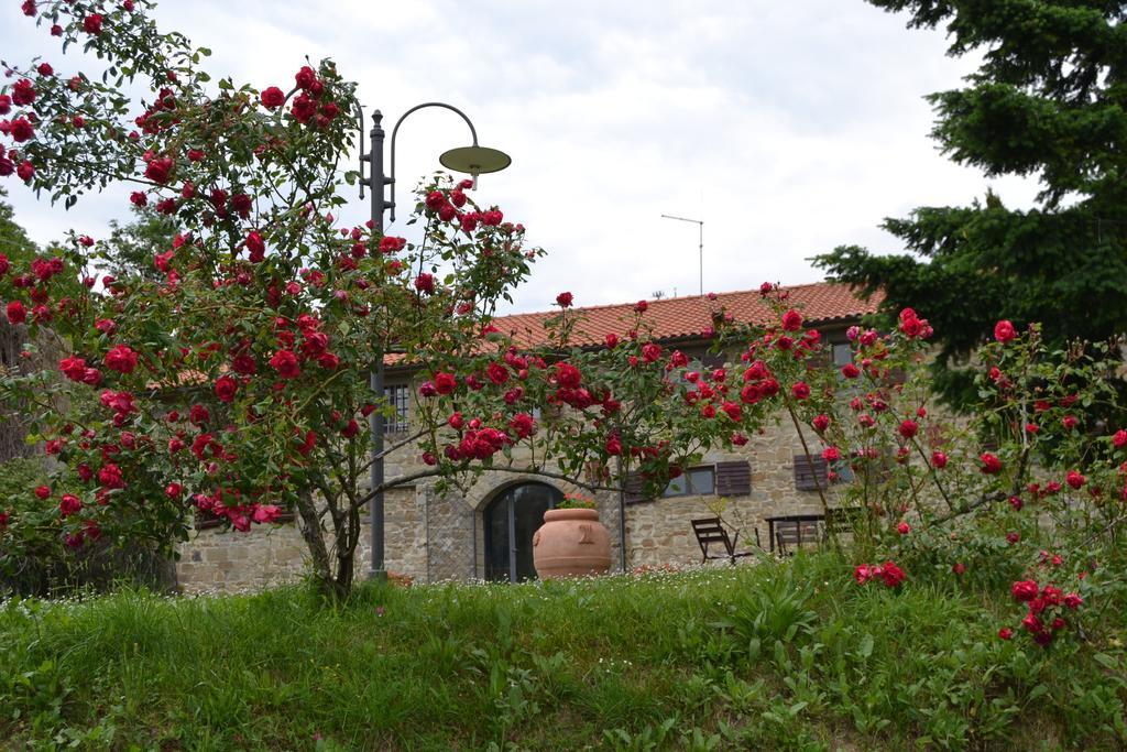 Fattoria Il Praticino Villa Castelfranco di Sopra Exterior photo