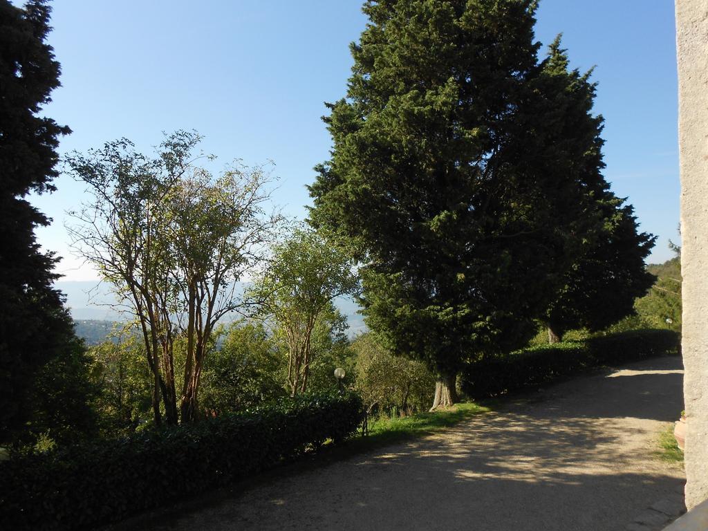 Fattoria Il Praticino Villa Castelfranco di Sopra Exterior photo